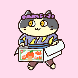 Running Box Cat #0119