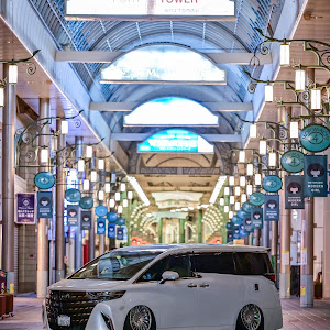 アルファード AAHH40W