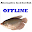 Alternative feed for fish Download on Windows