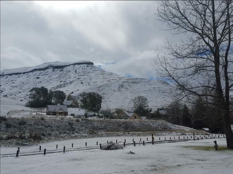 Snowfall turned the Silver Streams resort at Bushman's Nek in the Drakensberg into a winter wonderland.