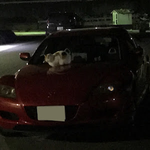 RX-8 SE3P