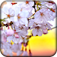 Download Spring Wallpaper For PC Windows and Mac 1.1