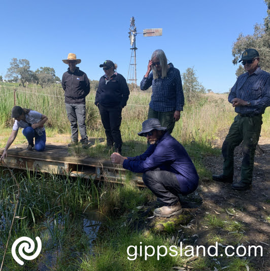 Grants are open to all Victorian Landcare and environmental volunteering groups and networks that are community-based and have a focus on on-ground natural environment improvement