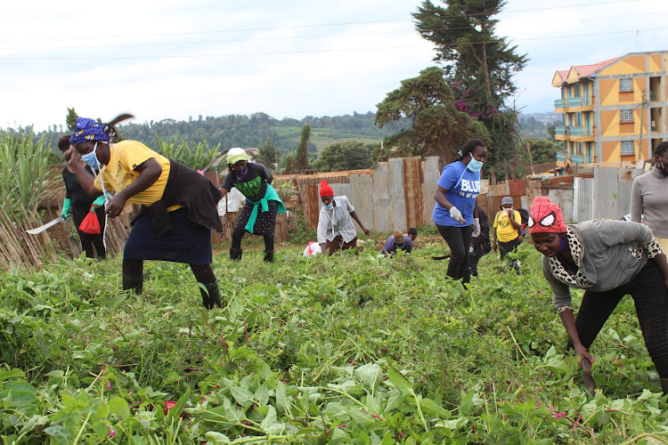 Youths from the informal settlements in Nyeri town engage in Kazi Mtaani programme after its launch by Central regional commissioner Wilfred Nyagwanga on Monday