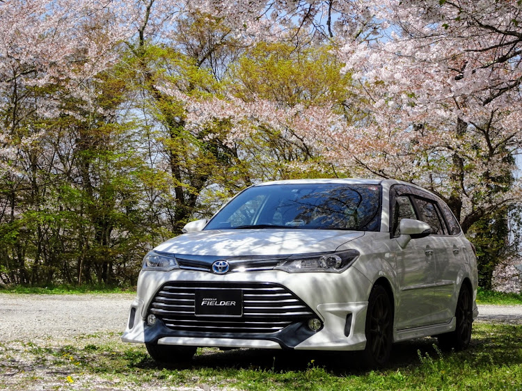 カローラフィールダーの桜・サクラと愛車・桜が散る前に・菜の花・長野に関するカスタム事例の投稿画像9枚目