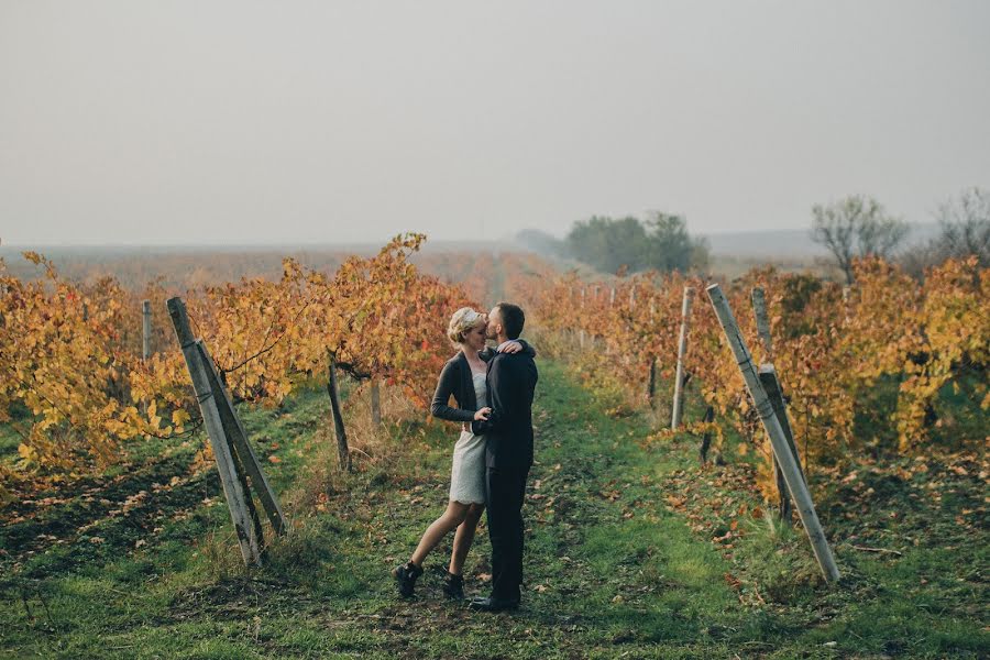 Wedding photographer Yaroslav Babiychuk (babiichuk). Photo of 8 November 2014