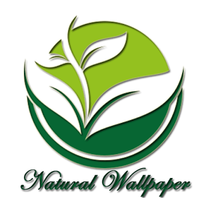 Natural Wallpaper.apk 1.0
