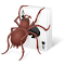 Item logo image for Spider Solitaire