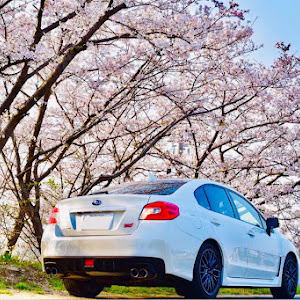 WRX STI VAB