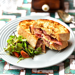 Bacon, Brie and Cranberry - NEW!