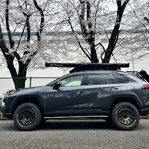 RAV4 MXAA54