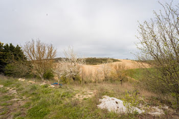 maison neuve à Avignonet-Lauragais (31)