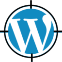 Discover the Magic of Chrome Extension: Free WordPress Theme Detector