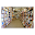 Bookstore Download on Windows
