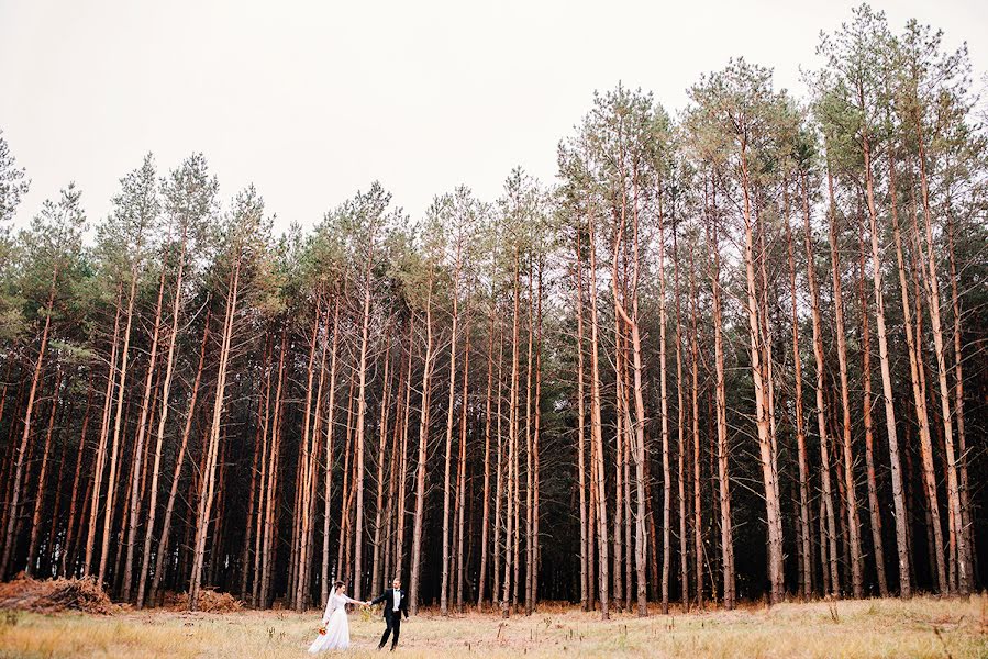 Wedding photographer Serezha Tkachenko (tkachenkos). Photo of 26 December 2015