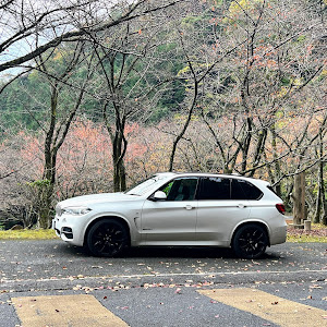 X5 xDrive 35d