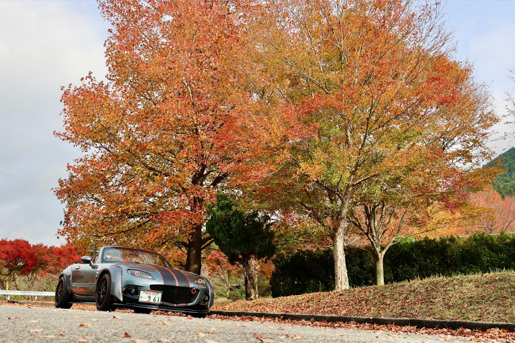 ロードスターのロードスターNC・ロードスターの御縁に感謝・11月も宜しくお願いします・紅葉・ひろちゃん食堂に関するカスタム事例の投稿画像12枚目