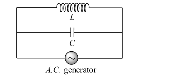 LC Oscillations