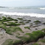 【三芝】老地方小籠湯包