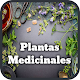 Medicinal Plants and Natural Medicine Download on Windows