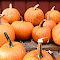 Item logo image for Pumpkin Patch