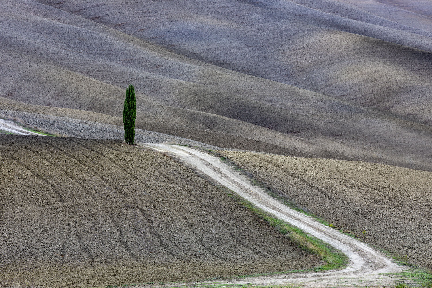 Terra mia di mariannabitto