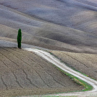 Terra mia di 