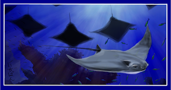 Cownose Ray