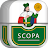 Scopa icon