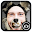 Funny Photo Frame Download on Windows