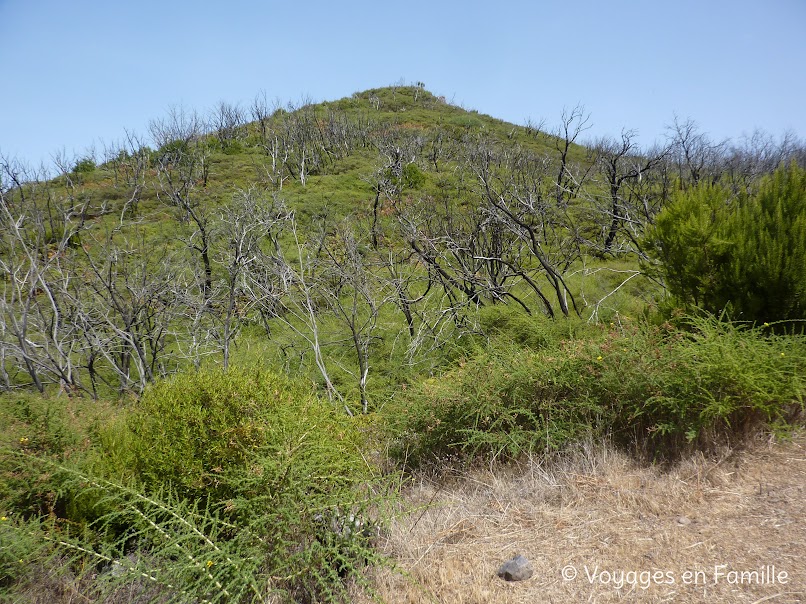 Alto de Garajonay, descente sur Chipude