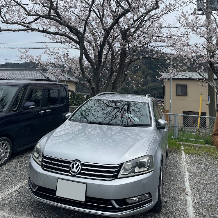 パサートヴァリアントのサクラと愛車・ドライブに関するカスタム事例の投稿画像1枚目
