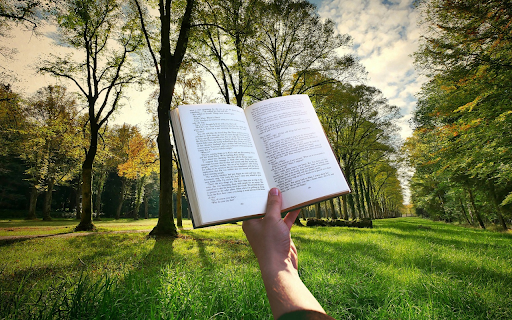 Read books outside in nature