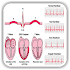 ECG / EKG Rhythm Step-by-Step Interpretation3.4