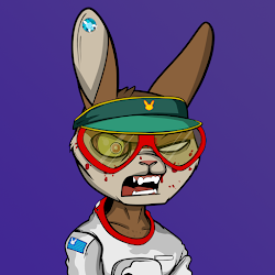 Mad Rabbit #0675