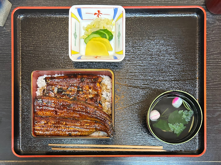 190シリーズのN700S・うなぎ・食うチューン・関西東海グルメツアーに関するカスタム事例の投稿画像8枚目