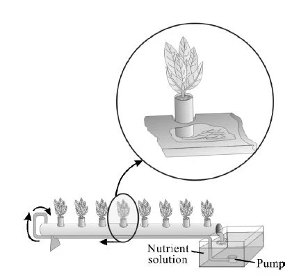 Hydroponics