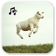 Download Sheep sounds For PC Windows and Mac 1.1