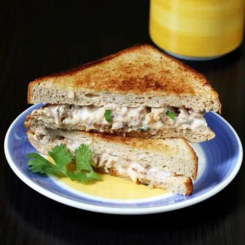 Cheese Maxican Grilled Sandwich