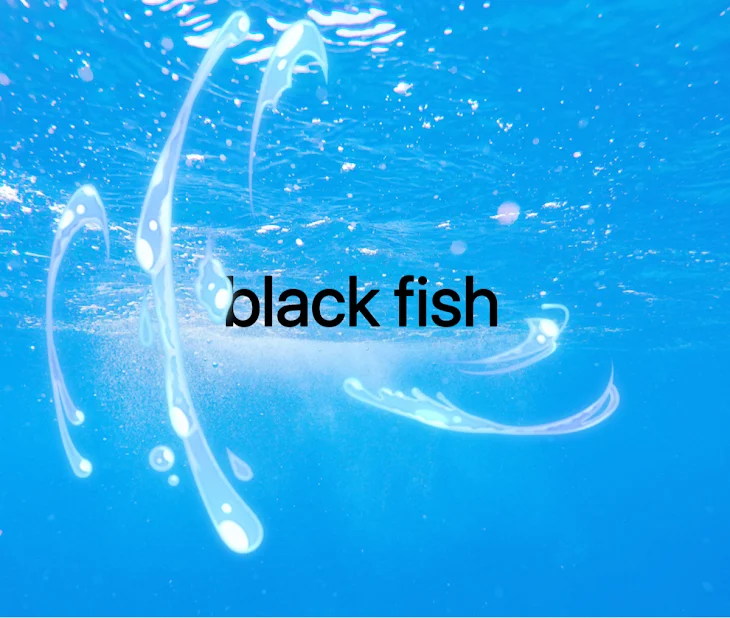 「black fish」のメインビジュアル