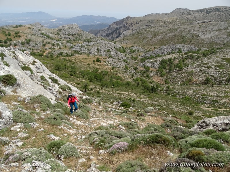 Quejigales-Tajo del Canalizo-Enamorados-Cerro Alto