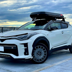 C-HR ZYX11