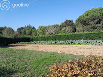 terrain à La Roche-sur-Yon (85)