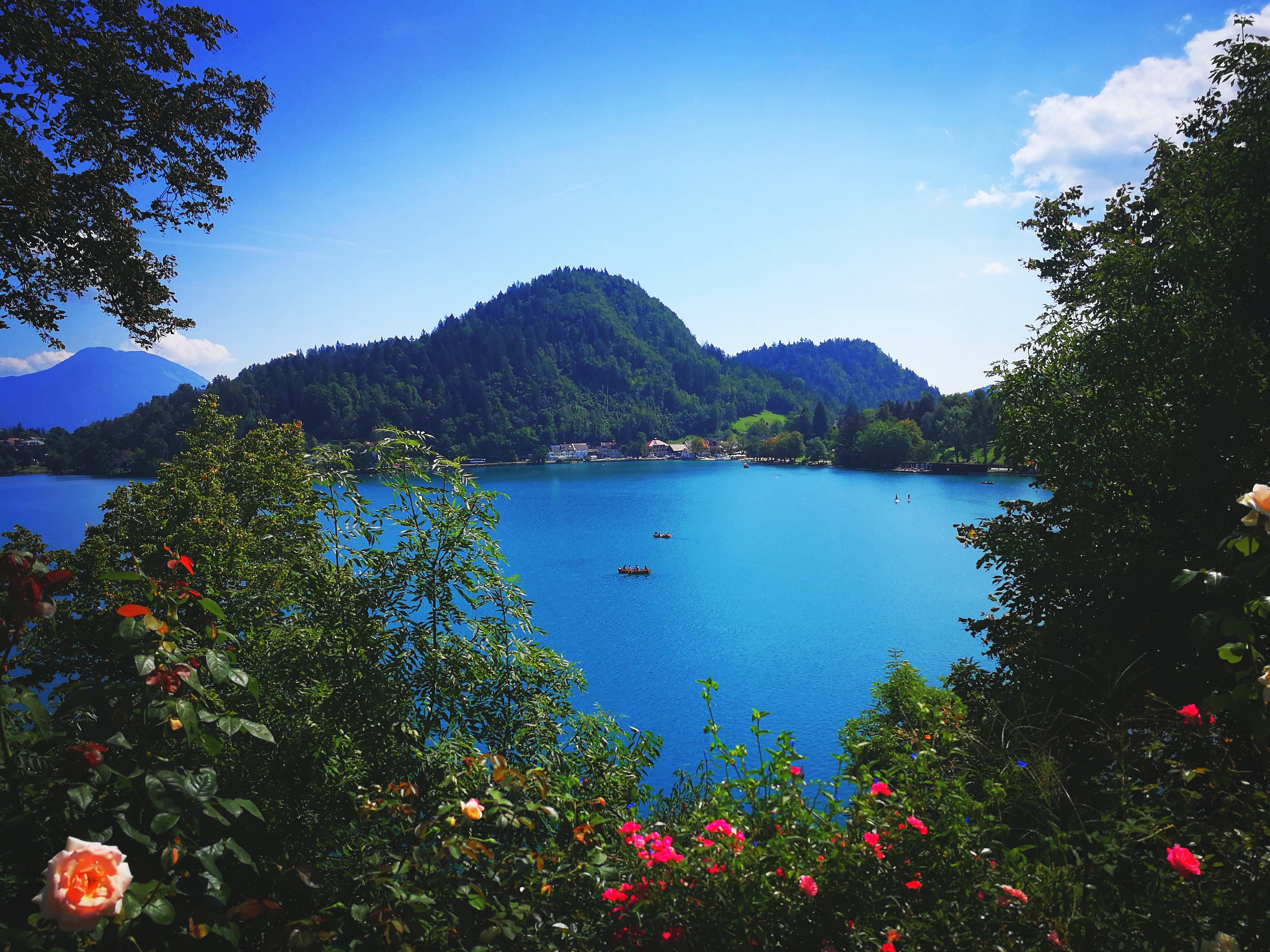 Lago in fiore di Asserjx