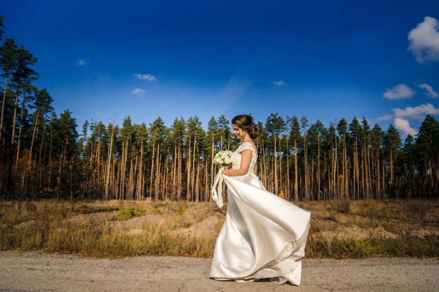 Hochzeitsfotograf Alina Bocharnikova (alinabocha). Foto vom 4. Januar 2020