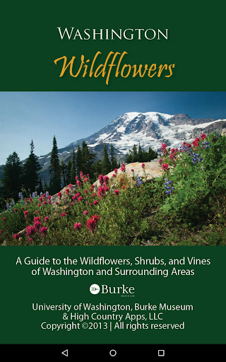 Washington Wildflowers