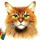 Download How to Draw a Cat For PC Windows and Mac 1.0