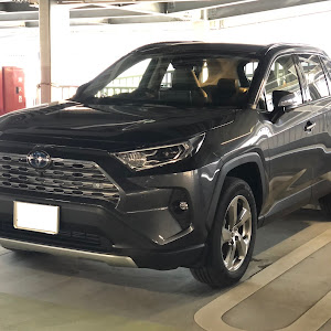 RAV4 AXAH54