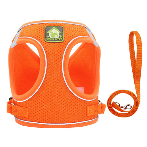Title 6, Reflective chest strap for enhanced nighttime s...