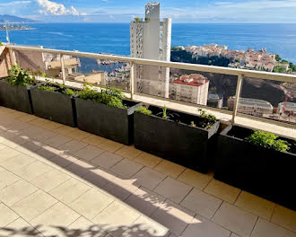 appartement à Monaco (98)